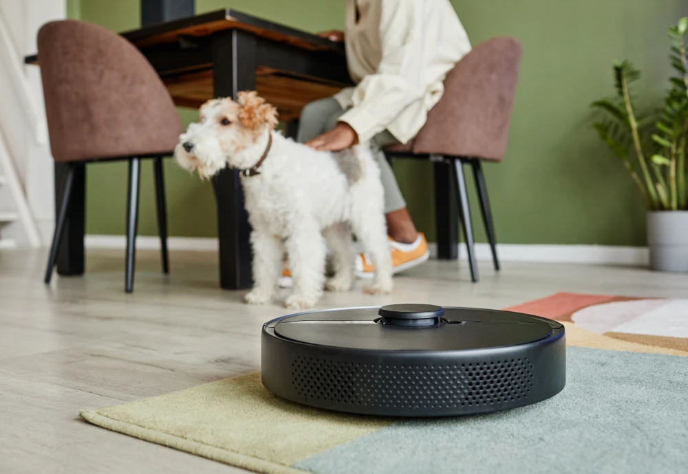 robot vacuum self cleaning